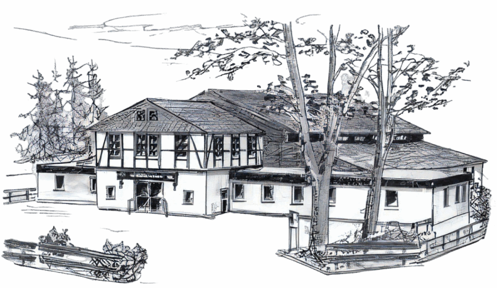 halle nero ai image upscaler standard